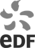 Logo Edf - Goodies